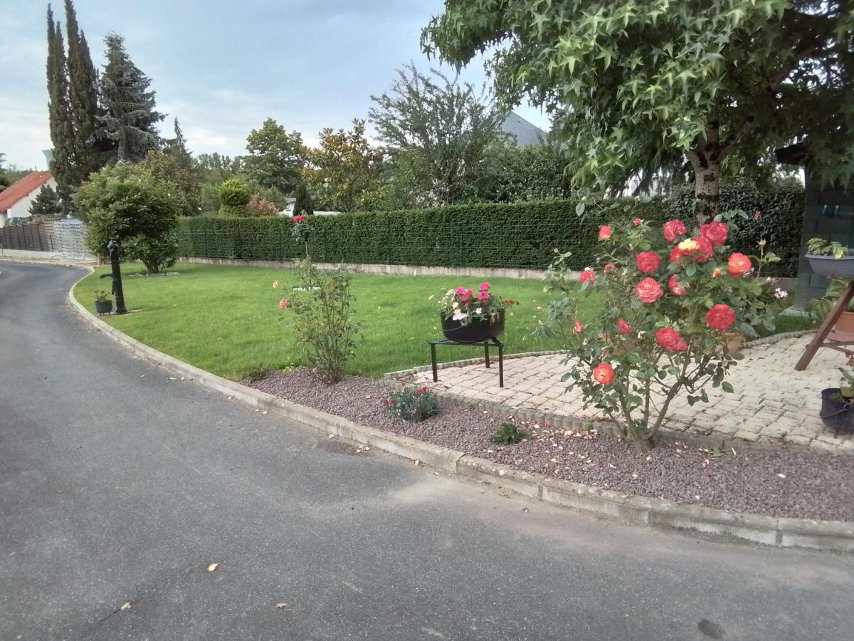 Au Detour Des Orchidees Apartment Artannes-sur-Indre Bagian luar foto